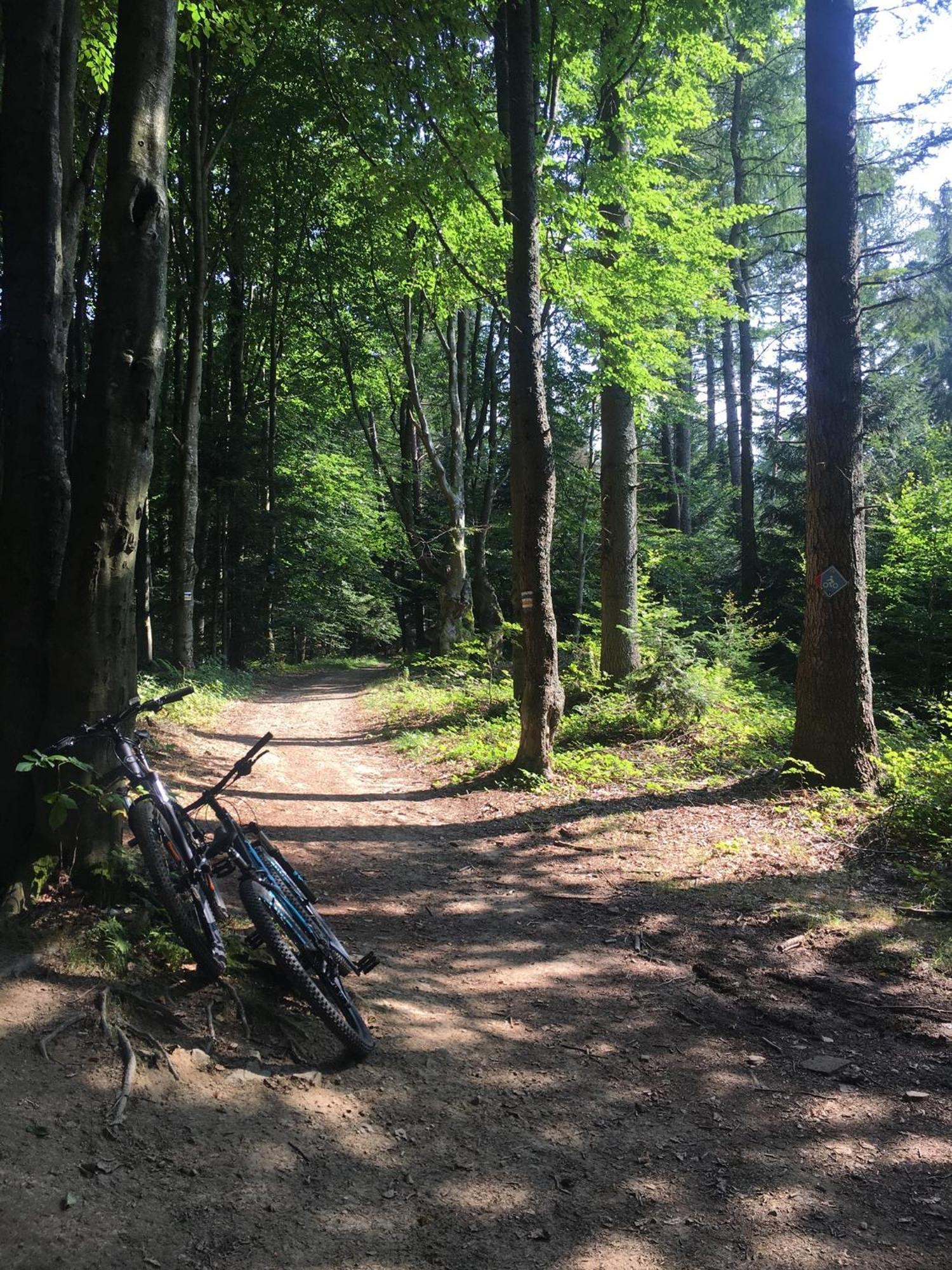 Blachutowka Villa Krynica Zdroj Luaran gambar